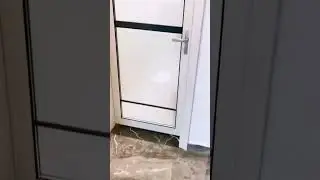 Funniest dog 2023 😂 