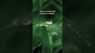 Let this relaxing sound send you off to dreamland 