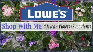 Lowes Shop w/me 