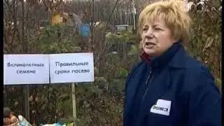 Награды ОЖЗ