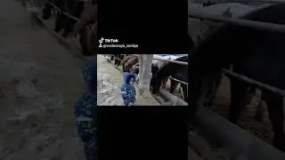 Однажды в России #когдасынвтренде#😆😎🤘