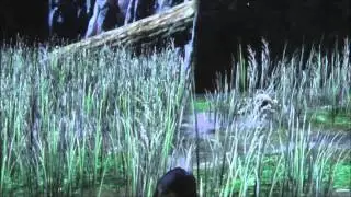 NVIDIA's Dynamic Super Resolution (DSR) explained!