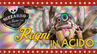 Ragni in acido - BIZZARRO BAZAR S02E07