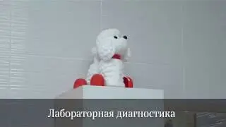 Анализ крови во Владимире БэбиБум
