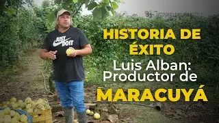 ¡Conoce la historia de éxito de Luis Alban, productor de maracuyá en Sto. Domingo de los Tsáchilas!