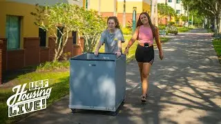 USF Housing LIVE! - 811 - 
