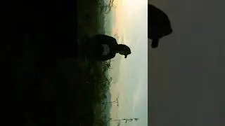 🙌