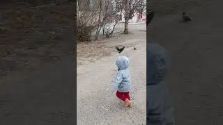 гоняет голубей, Кирюшка сов