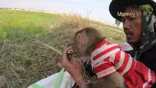 Mio help Daddy find Snake in Snake hold and  fishing to cooking foods