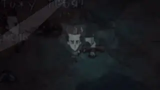 Dont Starve