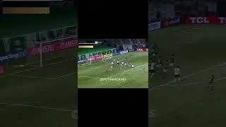 Não há ferrolhos #shorts #humor #engracado #palmeiras