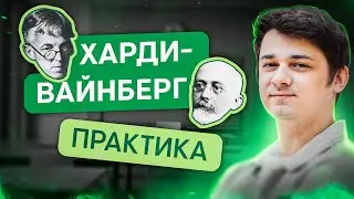 Харди-Вайнберг: практика | Биология с Мишей Гис | ЕГЭ 2024 | SMITUP