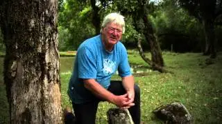 Rio Ivaí