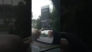 Заехал в мак  