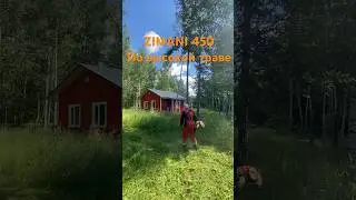 ZIMANI 450 по высокой траве                     #stihl #husqvarna #zimani #покостравы