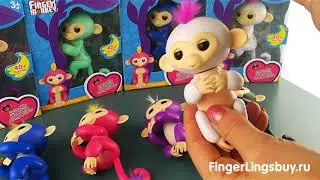 Демонстрация обезьянок Fingerlings Sofia