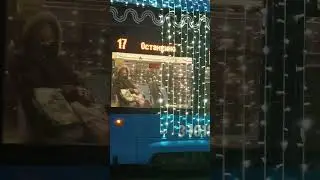 Новогодний витязь! 71 - 931 ЕМ Витязь рейсом 17 колонный номер 31018