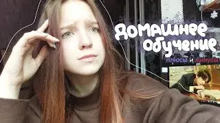 домашнее обучение | все плюсы и минусы спустя первый семестр