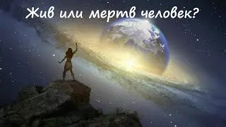 Жив или мертв человек? Как увидеть в раскладе жив  ли человек?