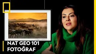NAT GEO 101 | Bölüm 1: Fotoğraf | F. Dilek Yurdakul