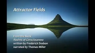 Attractor Fields