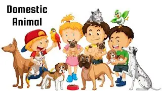 Domestic Animals.