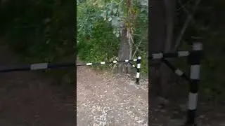Зачем в лесу шлагбаум?