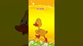 #прикол
