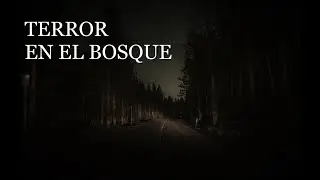 NUNCA MÁS IRÉ A ACAMPAR, DESPUÉS DE LO QUE SUCEDIÓ - Relatos De Terror