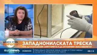 Проф. Радостина Александрова: Западнонилската треска се предава на човек само от комар