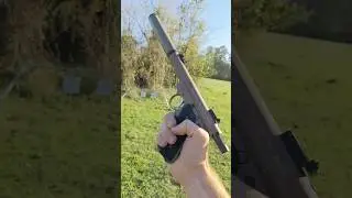 Silenced Ruger 22