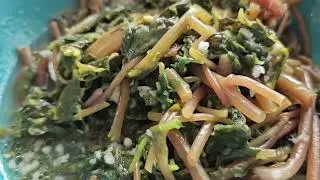 Портулак это не сорняк а очень вкусный и полезный салат.