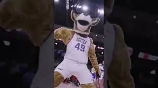 Celebrity Slam Jam (2024)