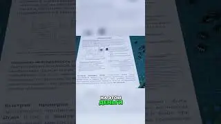 27 мая 2024 г.