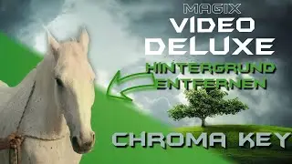 Remove Chroma Key Background MAGIX VIDEO DELUXE tutorial German