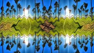 Copyright Free Trippy California Beach Video