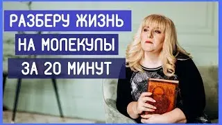 Колесо жизненного баланса / Коуч Елена Орт/Личный коучинг