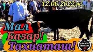 🐂МАЛ БАЗАР🐄СКОТНЫЙ РЫНОК 