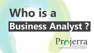 Who is a Business Analyst (BA)?