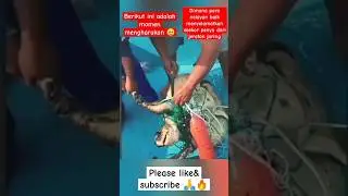 momen mengharukan #shorts #short #shortvideo