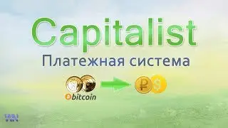 Как выводить криптовалюту на карту. Платежная система Capitalist