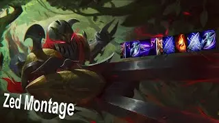 ZED MONTAGE BEST OF 79MS