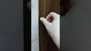 ЕСЛИ КОШКА ПОЦАРАПАЛА ДВЕРЬ #Shorts
