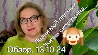 Обзор. Обида на Наташу❗️Сальмонелла боится Кучу💯