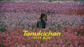Tanukichan - 