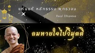 ลมหายใจไปวิมุตติ #พุทธวจน #แก่นแท้หลักธรรมพุทธวจน