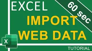 How To Import Web Data into Excel in 60 seconds | Excel Tutorial for Everyone