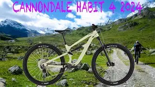 CANNONDALE HABIT 4 (2024)