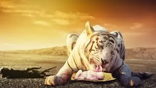 Amazing Tiger Photo Manipulation & Color Effects Photoshop CC 2017 Tutorial
