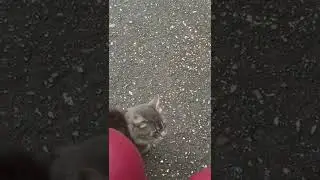 октябрьская прогулка по району